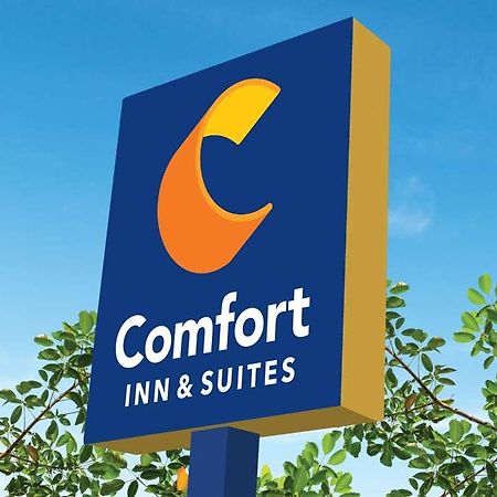 Comfort Inn & Suites Newark Liberty International Airport Buitenkant foto